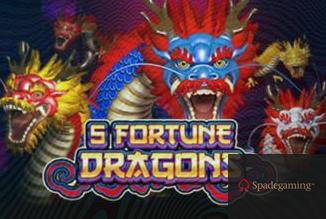 5 Fortune Dragons